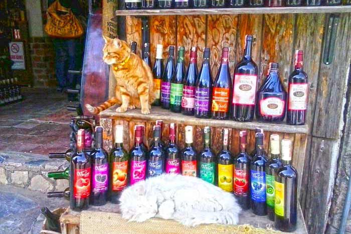 sightseeing tour ephesus sirince wine tasting fruit wine
