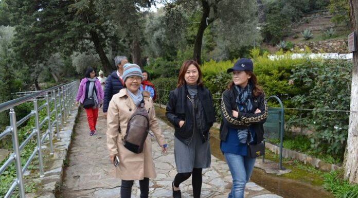 Luxury Ephesus Tour for an Exclusive Ancient Journey