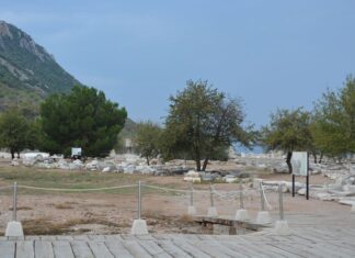 Kusadasi Day Trips for Ephesus and Aegean Highlights