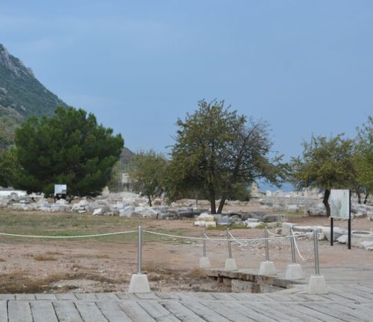 Kusadasi Day Trips for Ephesus and Aegean Highlights