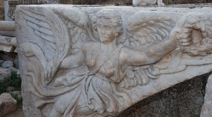 Ephesus from Izmir Tour Guide for a Personal Cultural Visit